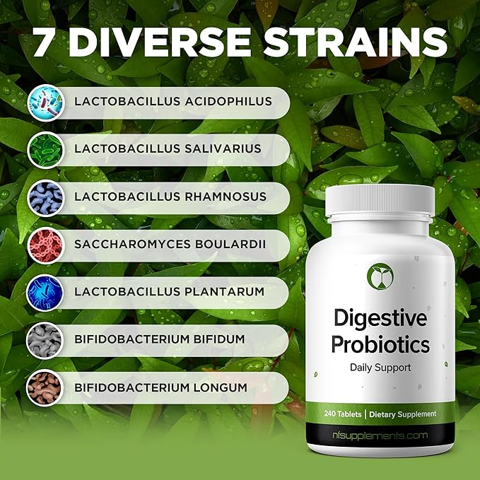Probiotics for Digestive Health Supplement 240 Tablets 3 Billion CFU Made in The USA (240, Digestive Probiotics)