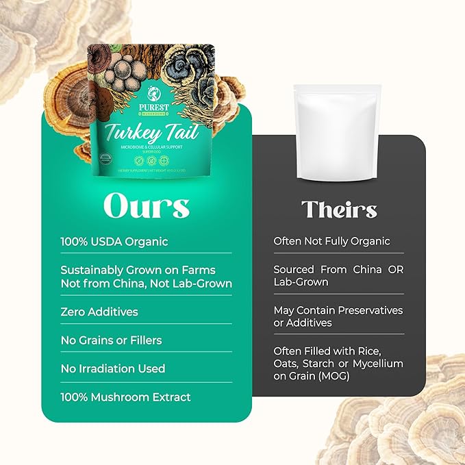 Turkey Tail Powder - Organic Mushroom Supplement with Powerful Turkey Tail Mushroom Extract for Microbiome & Cellular Support 60g