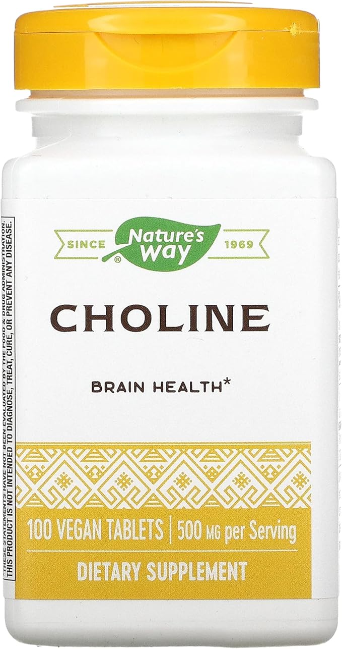 NATURES WAY 500Mg 100 Tb Choline, 100 CT