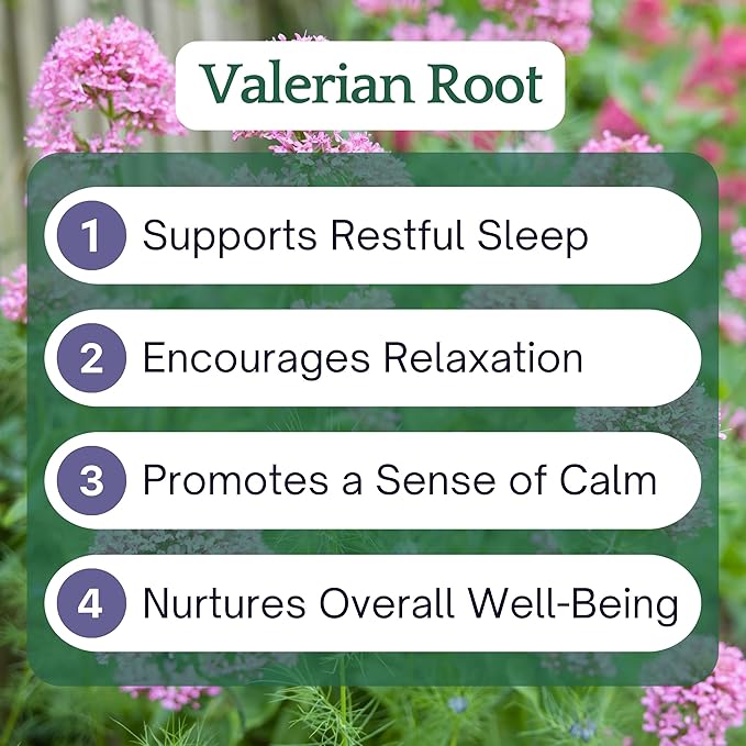 Herb Lore Valerian Root Tincture - Organic Liquid Extract Drops - Natural Herbal Sleep Aid for Kids & Adults - Alcohol Free (2 fl oz)