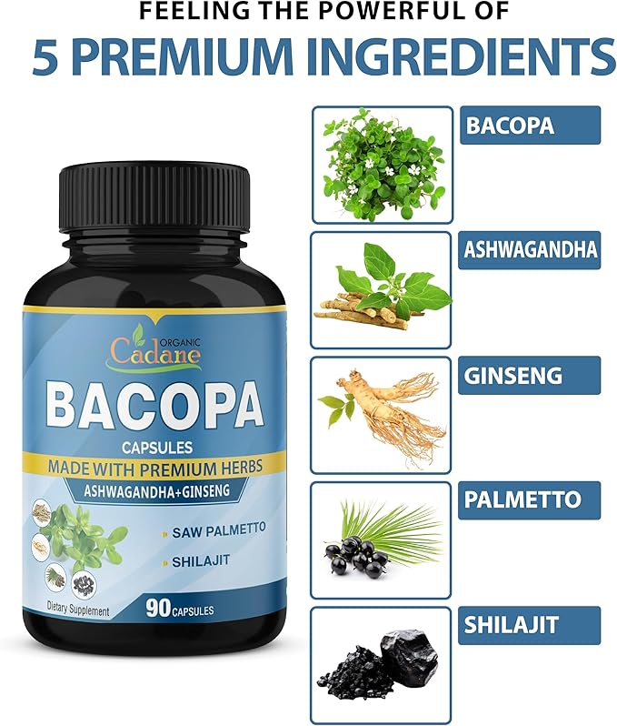 Organic Cadane Bacopa Monnieri Supplement - Blended with Ashwgandha, Ginseng, Saw Palmetto, Shilajit - 90 Capsules for 3 Month Supply