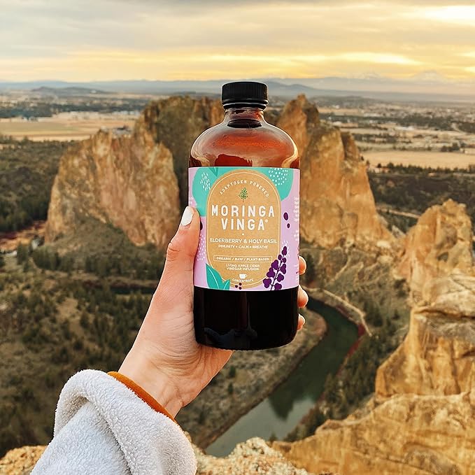 Elderberry & Holy Basil Moringa Infusion - Organic Immune Support, Respiratory Wellness, Stress Relief, Herbal Tonic with Apple Cider Vinegar, Ginger, Hibiscus, Honey - 100% Pure, Non-GMO, 8 oz