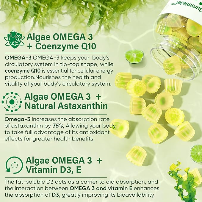 Sugar Free Omega 3 Fatty Acid 2000mg With 640mg DHA & 290mg EPA, Multivitamin, CoQ10, Astaxanthin + Ginger Filled Gummies for Nausea - Stomach Relief - Ultra Absorption for Digestive Support
