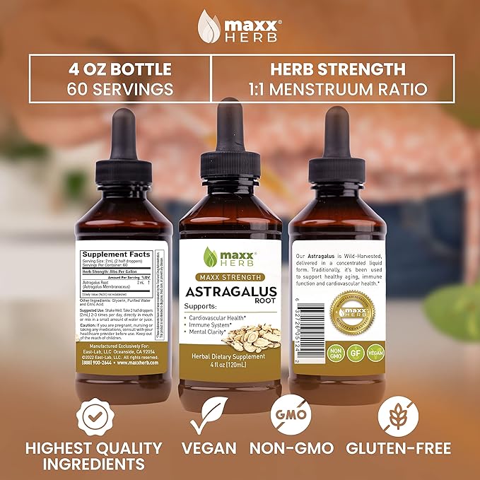 Maxx Herb Astragalus Root Extract - Max Strength Liquid Tincture Absorbs Better Than Capsules or Powder, for Immune Support and Mental Clarity - 4 Oz Bottle (60 Servings)