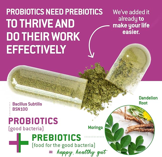Bacillus Subtilis Spore Based Probiotic — High Potency Strain with Prebiotic for Balanced Belly | Daily Gut Health & Microbiome Support for Family | 6 Billion CFU Per Day | 180 Vegetarian Capsules