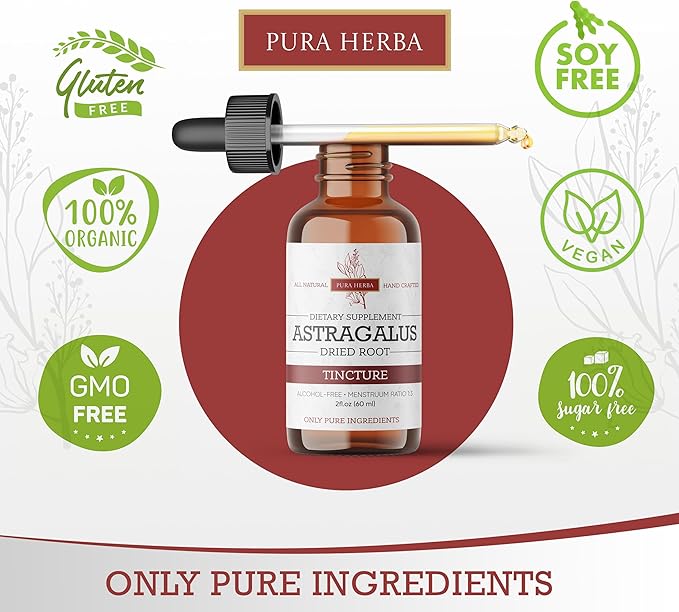 Organic Astragalus Tincture - Premium Astragalus Root Extract for Immune Support - Alcohol-Free, Sugar-Free, Vegan - High Potency Liquid Supplement - Made in USA - 2 Fl.Oz.