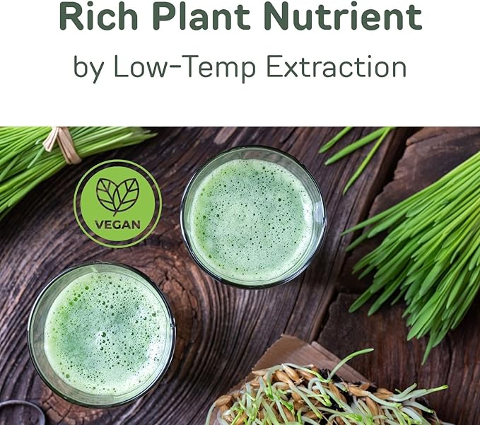 Digestive Enzymes with Probiotics and Prebiotics for All Types, Women & Men, Super Greens Made with Young Barley Leaf Powder & Probiotic Powder from Japan, 7 Portable Sachets