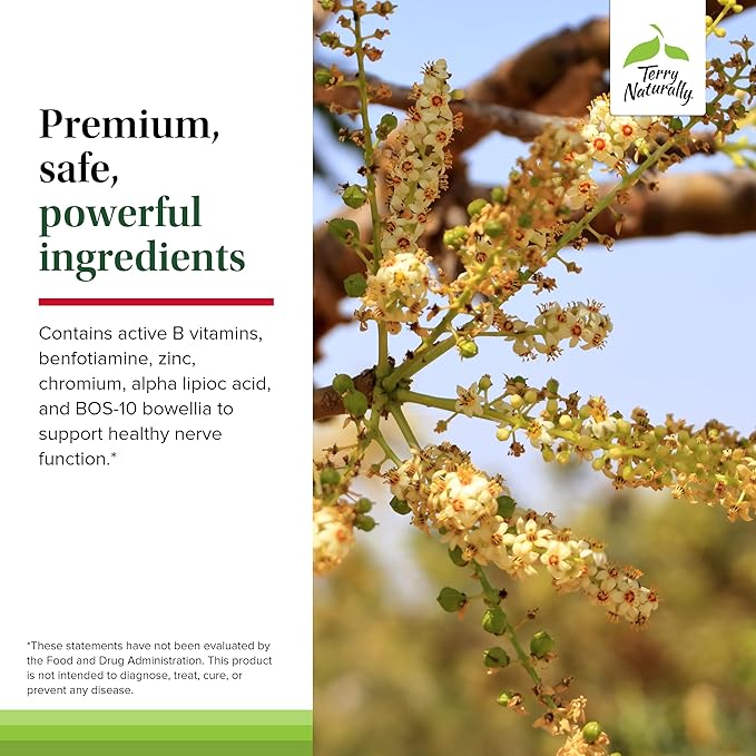 Terry Naturally Healthy Feet & Nerves - Herbal Supplement with Bioactive Vitamin B12 - Circulation & Nerve Health Support Supplement - Vegan Capsules with Boswellia Serrata - 60 Capsules (Pack of 2)