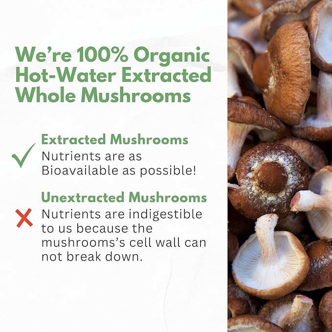 Organic Mushroom Supplement Extracts of Lions Mane Cordyceps Chaga Reishi Turkey Tail Maitake Shiitake Capsules - Natural Vitamins Minerals Antioxidants Supplement - Made in The USA