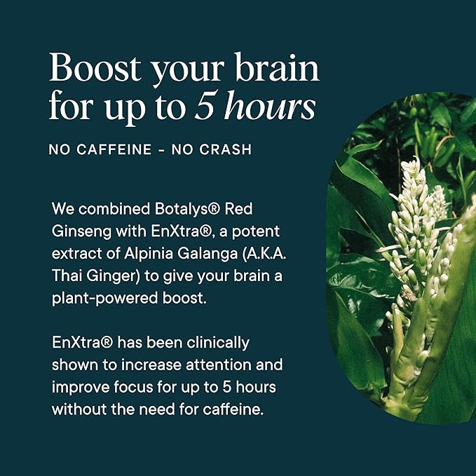 Ora Organic - Brain Health Supplement for Focus, Mental Energy + Memory - Panax Red Ginseng, Bacopa Monnieri, Alpha GPC, & EnXtra - Third-party Tested & Caffeine-free - 60 Capsules