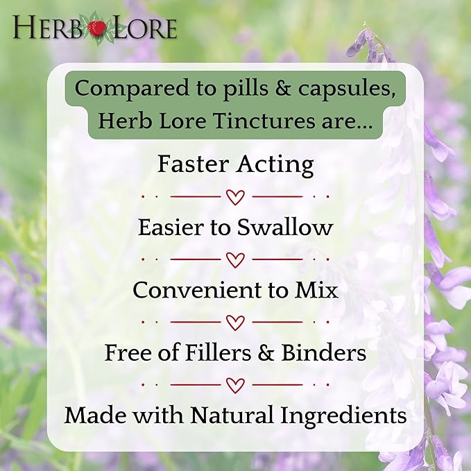 Herb Lore Organic Goats Rue Tincture - Lactation Supplement for Breastfeeding - Natural Breastmilk Production Support to Increase Breast Milk Supply (4 fl oz)