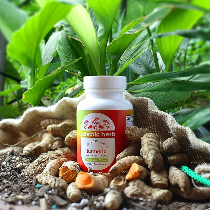 ECLECTIC INSTITUTE Raw Freeze-Dried Turmeric | US Grown | Vegetarian, Non-GMO, Gluten Free | 90 CT (395 mg)