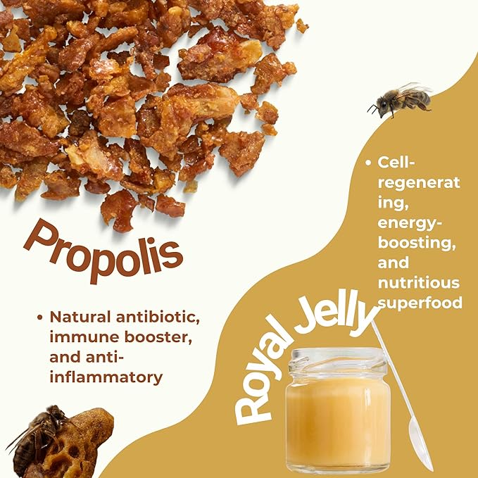 Immune System Support Supplement - Natural Blend of Propolis, Royal Jelly, Echinacea & Vitamin C - Enhances Health Plant-Based 90 Capsules (Pack of 1)