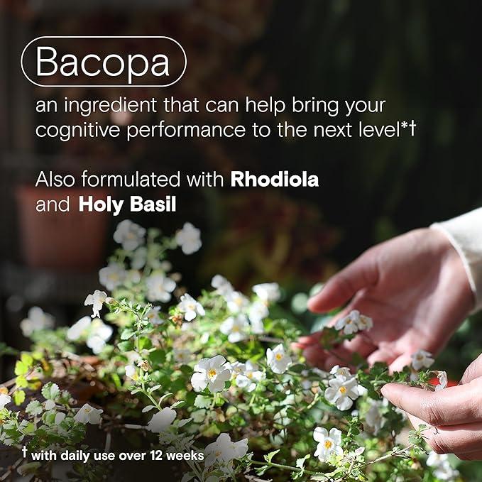 One A Day Cognitive Supplement – Brain Supplement to Support Cognitive Performance for Men and Women with Bacopa. Also includes Rhodiola, & Holy Basil, 30 Capsules (Packaging May Vary)