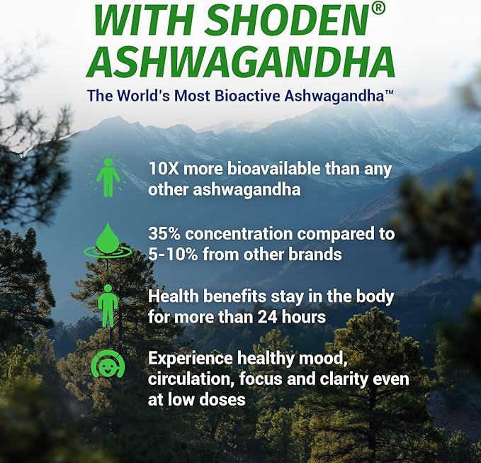 1 Body Ashwagandha Complex with Shoden® – Clinically Supported Stress Relief, Sleep, and Energy Support – Vegan, Non-GMO Supplements – 60 Capsules