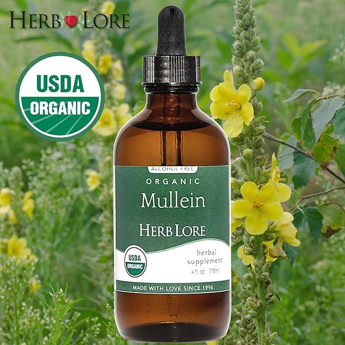 Herb Lore Organic Mullein Tincture Drops - Mullein Leaf Extract for Lungs - Safe for Kids - Alcohol Free (4 fl oz)