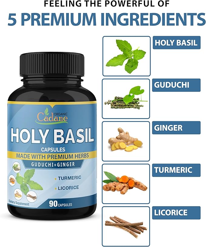 Organic Cadane Holy Basil Supplements Capsules, 5in1 with Guduchi, Ginger, Turmeric Curcumin, Licorice - Support Immune - 90 Capsules for 3 Months