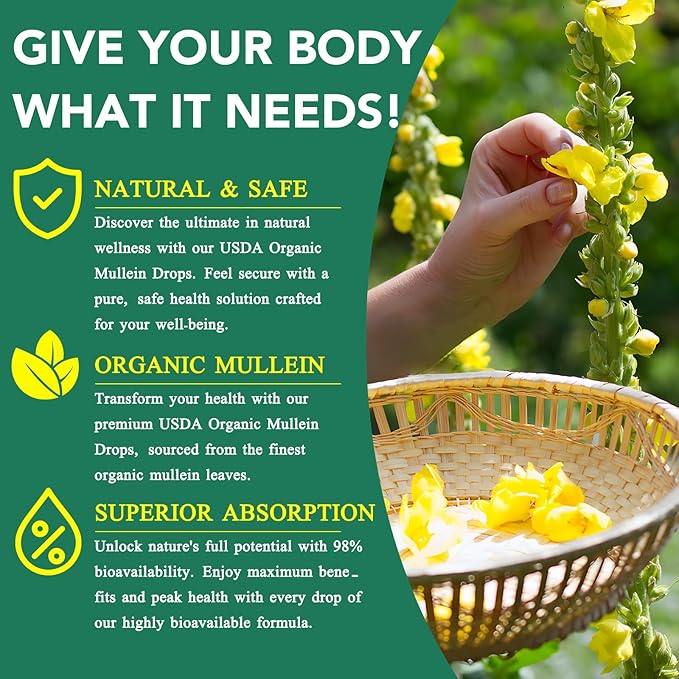 Mullein Drops, Mullein Leaf Extract for Lungs, Mulleins Leaf Drops for Lung Cleanse and Phlegm, Fast Absorption Powerful Mulleins Extract for Stronger Lungs (1)