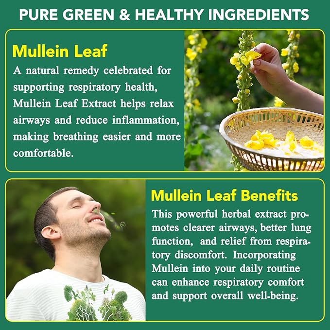 Mullein Gummies for Lung Cleanse, 2000mg Mullein Leaf Extract for Respiratory & Digestive & Immune Support, Natural Mullein Herbal Supplement for Mucus Relief with Chlorophyll (60 Gummies)
