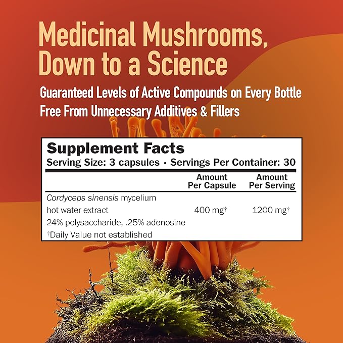 Cordyceps CS-4 Capsules, Full Spectrum Extract for Health, Energy & Endurance, Hot Water Extracted, Vegetarian, 400mg, 90 CT