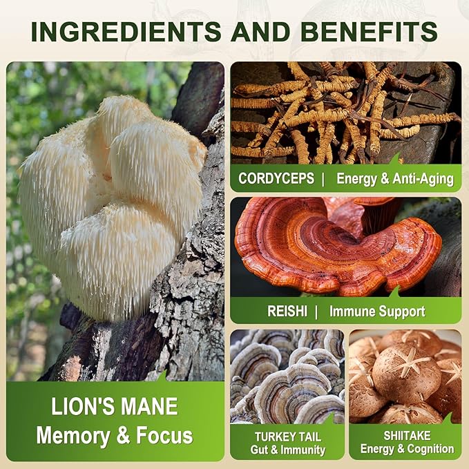 ZEBORA Lions Mane Supplement Capsules - Mushroom Supplement with Lions Mane, Cordyceps, Reishi, Turkey Tail, Shiitake - Lion's Mane Mushroom for Memory, Focus & Immune Support - 119 Vegan Capsules