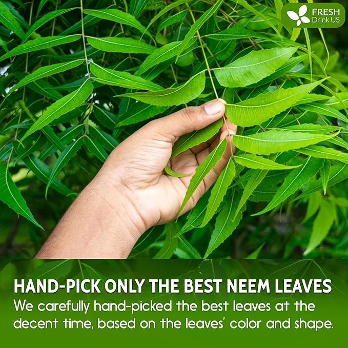 FreshDrinkUS, Premium 20oz Neem Leaf Powder, 100% Natural and Pure from Neem Leaves Dried, for Hair and Skin, No Additives, No Gluten, No Sugar, Vegan
