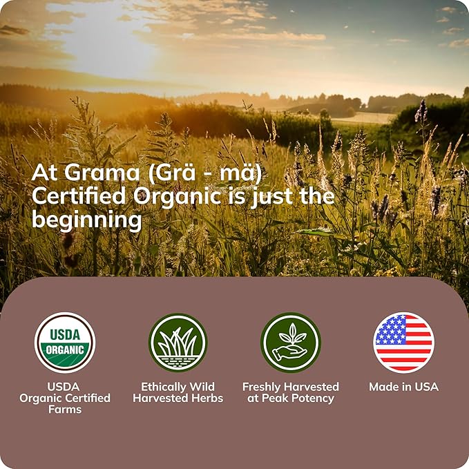 Grama Wellness Echinacea Goldenseal Tincture, Alcohol-Free Liquid Extract Immune Support Supplement, Organic Echinacea & Goldenseal Root Drops | Made in USA - 30 Servings