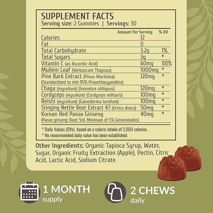 HERBAMAMA Lung Detox Gummies - Herbal Complex with Mushroom Blend for Lung Cleanse - Vegan, Non-GMO Respiratory Support Supplement - 60 Pectin-Based Apple-Flavored Chews
