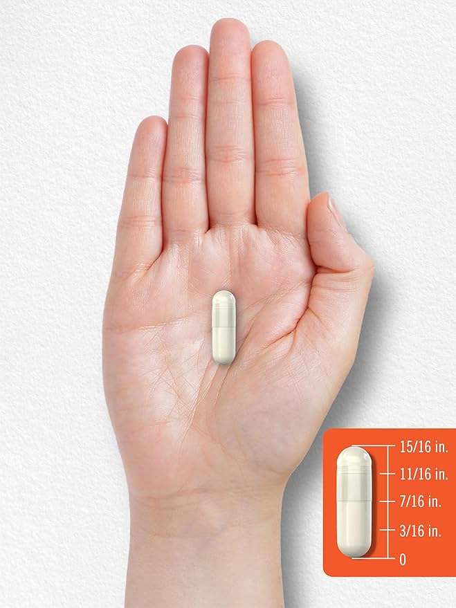 Carlyle Probiotic with Prebiotics & Postbiotics | 25 Billion CFU | 60 Capsules | Supplement for Women & Men | Powder Pills | Vegetarian, Non-GMO & Gluten Free