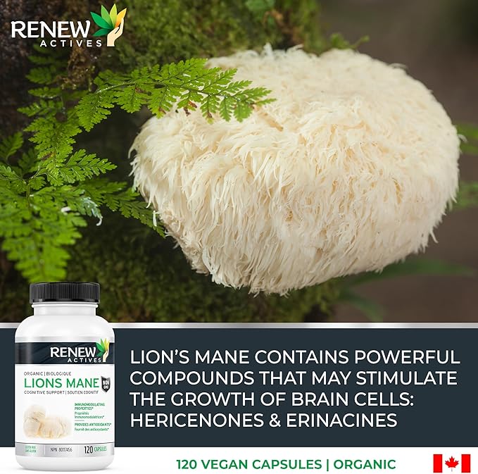 Renew Actives Premium Organic Lion's Mane Mushroom 1100MG per 2 Capsules - Supports Brain Function, Memory, Focus, Stress Relief & Immune Health, Non-GMO, Vegan - Made in Canada - 120 Capsules