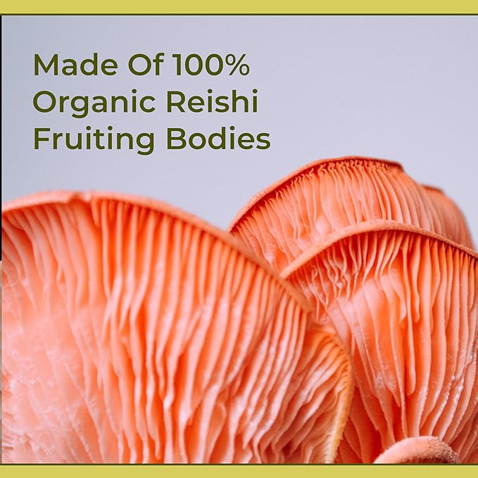 Naturealm Reishi Mushroom Liquid Tincture Supplement – Promotes Calmness, Immune Support & Sleep Aid, Vegan, Non-GMO – Organic Fruiting Bodies, 1 Month Supply