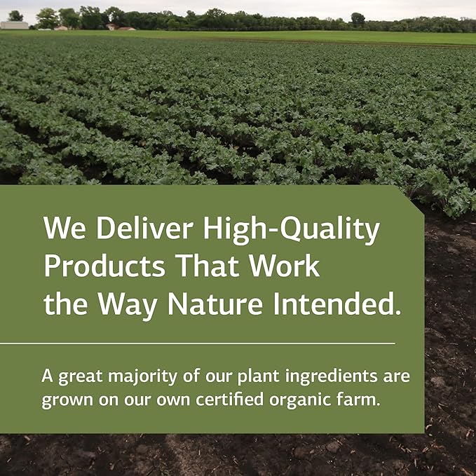 Standard Process Inc. St John's Wort-IMT - Whole Food Mental Health and Stress Relief with Organic Carrot, Alfalfa, Carrot Oil, Calcium Lactate, Inositol, Iodine, and Magnesium Citrate - 90 Capsules