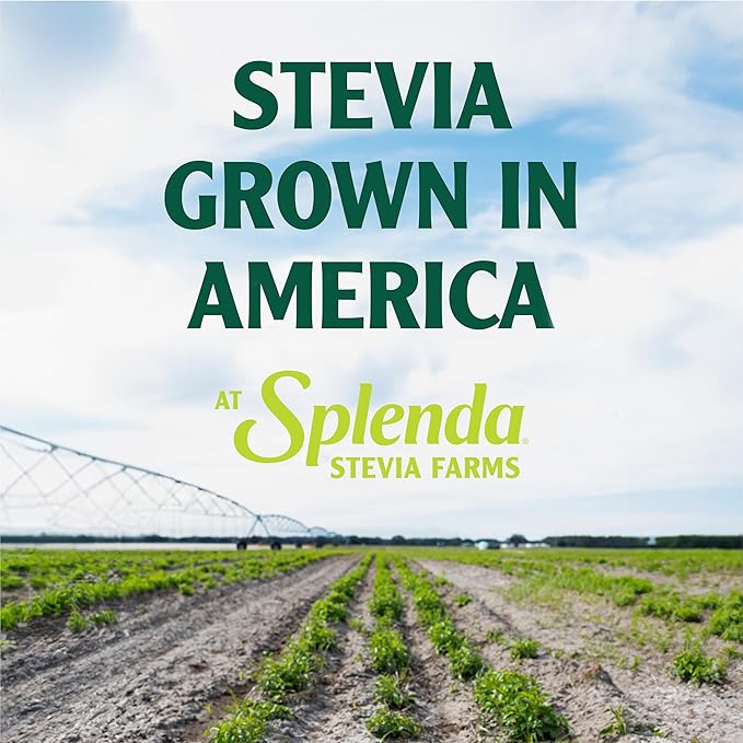SPLENDA Stevia Liquid Zero Calorie Sweetener Drops, 1.68 Ounce Bottle (Pack of 1)