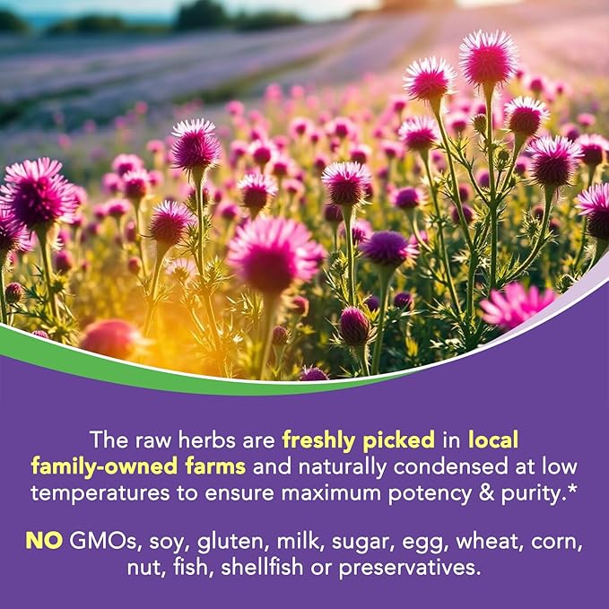4-in-1 Milk Thistle Complex, 9000 mg Strength, 30X Concentrated Seed Extract, with Dandelion, Choline, Zinc, Fatty Liver Supplements, Liver Support, Non-GMO, 90 Veggie Caps, 3 Month Supply