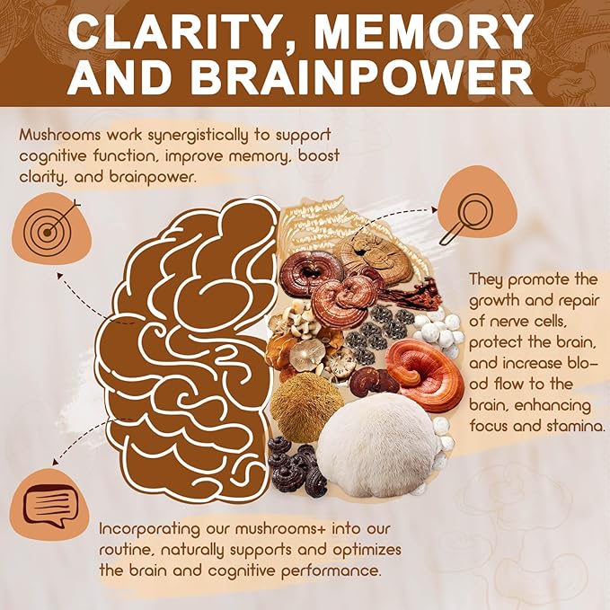 NATURE TARGET Mushroom Supplement, Mushroom Complex with Lion's Mane, Turkey Tail, Reishi, Cordyceps, Shiitake, 14-in-1 Mushrooms for Memory and Focus, 120 Capsules