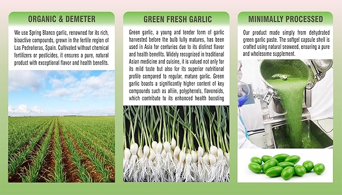 Organic Green Garlic, Potent Softgels, Wholesome, Reduced Odor.