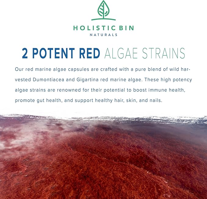 Holistic Bin Red Marine Algae Capsules Gigartina and Dumontiacea Red Algae Supplements | Gluten Free, Vegan, Wild Harvested | Rich in Vegan Omega 3 (40 Capsules)