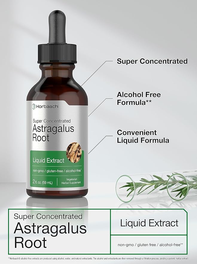 Horbäach Astragalus Root Extract Liquid | 2 fl oz | Alcohol Free Tincture | Super Concentrated | Vegetarian, Non-GMO, Gluten Free Supplement