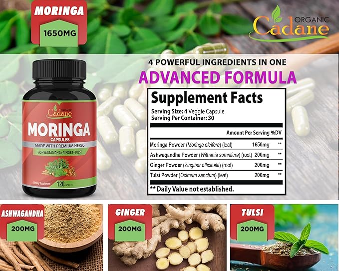 Organic Cadane Moringa Powder Capsules, 4in1 with Ashwagandha, Ginger, Holy Basil Tulsi - Immune Support - Oleifera Leaf Powder Herb Supplements, 120 Capsules