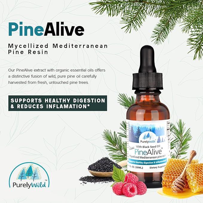 PURELY WILD PineAlive - Raw Pine Resin & Black Seed Oil Complex | Natural Energy & Vitality Support | Wild-Harvested Forest Extract | Dr. Cass Ingram's Original Formula | 1 fl oz with Dropper
