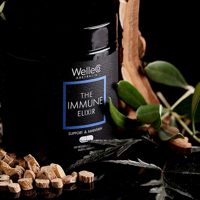 WelleCo The Immune Elixir Immune Support Supplement with Vitamin C, Zinc, Elderberry, Astragalus, B Vitamins & Reishi Mushroom for Immunity, Fatigue, Overall Wellness, Gluten Free & Vegan, 60 Capsules
