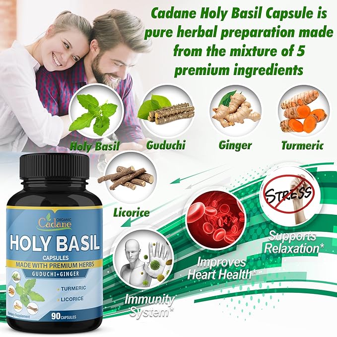 Organic Cadane Holy Basil Supplements Capsules, 5in1 with Guduchi, Ginger, Turmeric Curcumin, Licorice - Support Immune - 90 Capsules for 3 Months