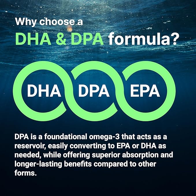 Micro Ingredients Vegan Omega 3 Algae Oil, 240 Veggie Softgels | Fish Oil Alternative | DHA 500mg & DPA 100mg | Carrageenan Free | Plant-Based Omega 3 with Flaxseed & ALA | Lemon Flavored