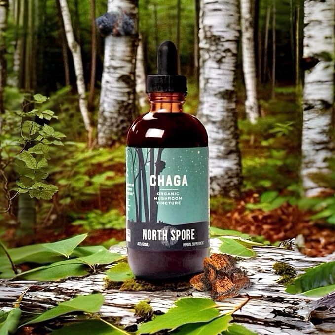 North Spore Chaga Mushroom Tincture | Energy & Wellness Boosting Supplement Drops | Adaptogenic Superfood | Dual Extract Organic Blend, 100% Fruiting Bodies | Non-GMO, Vegan - 2oz