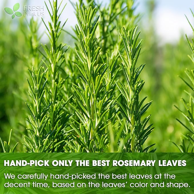 FreshDrinkUS, 20 Rosemary Leaf Tea Bags - 100% Natural and Pure Rosemary Dried Leaves, No Additives, No Caffeine, No Gluten, Vegan