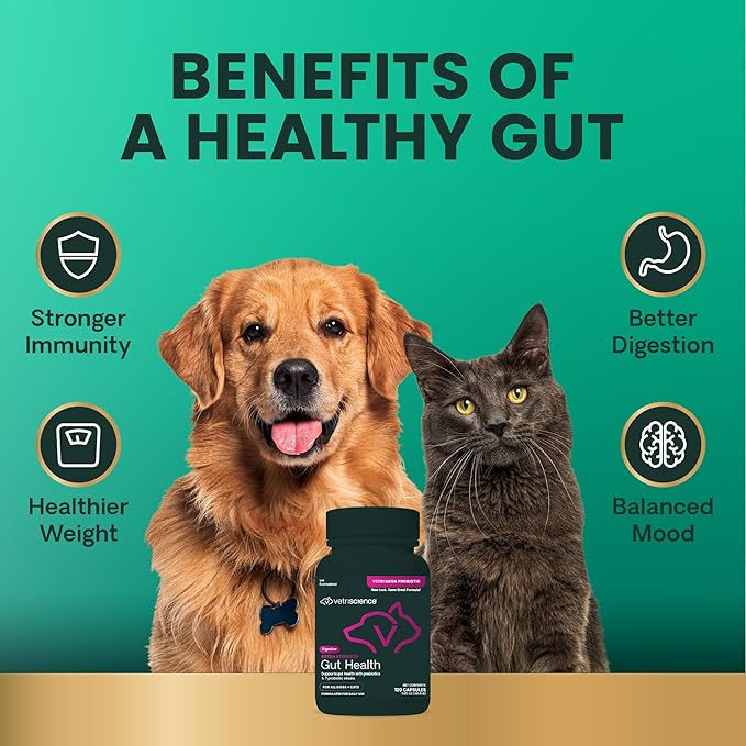 VetriScience Extra Strength Gut Health Probiotic & Prebiotic Digestive Supplements for Dogs & Cats, Gas & Diarrhea & Immune Support, Easy-Open Capsules, 120 Count - New Look