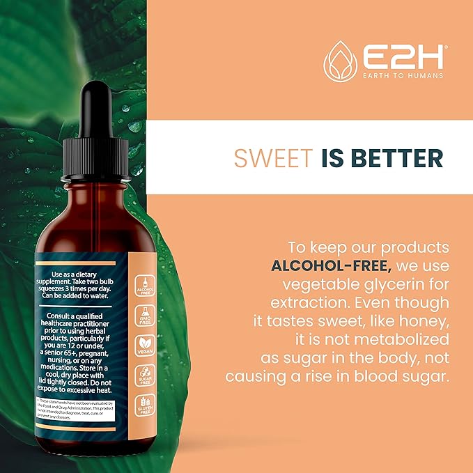 E2H Lion’s Mane Extract - Promotes Mental Clarity, Memory & Focus - Lion’s Mane Mushroom Supplement for Inmune Support - Non-GMO, Vegan - (3 Bottles)