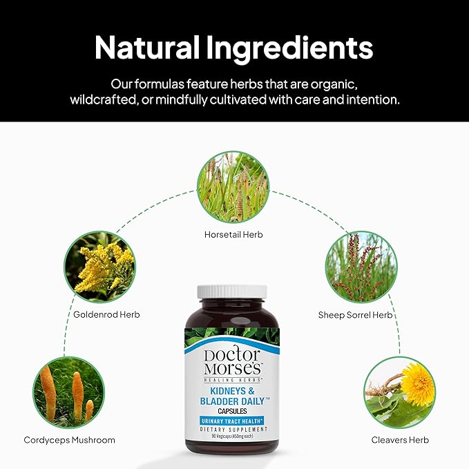 Doctor Morse's Kidney & Bladder Daily Cleanse - Support Urinary Tract Health & Elimination of Lymph - Organic & Naturopath Formulated - Cordyceps Mushroom, Juniper Berry, Horsetail Herb - 90 Capsules