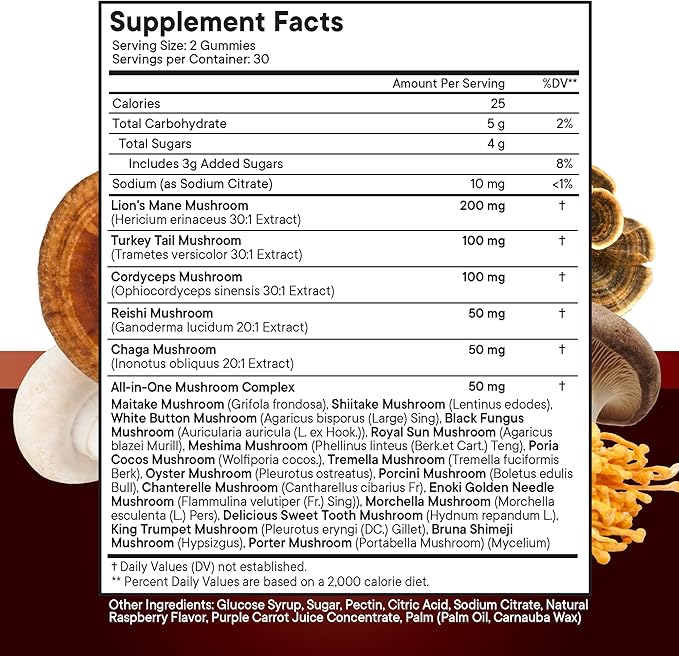NEW AGE Mushroom Lion's Mane Supplement Gummies - Mushroom Supplement with Reishi, Cordyceps - 60 Count