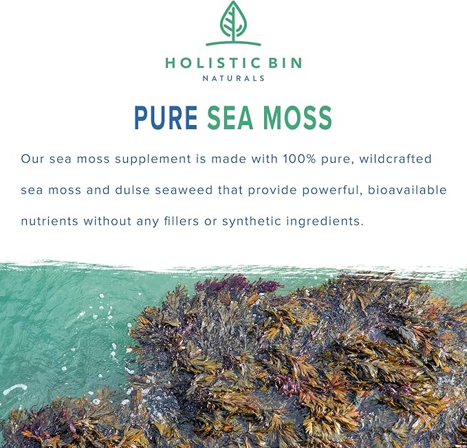 Holistic Bin Organic Sea Moss Capsules 100% Pure Caribbean Sea Moss + Dulse Seaweed | Wild Harvested | No Fillers | Rich in Antioxidants, Minerals, and Iodine (40 Capsules)